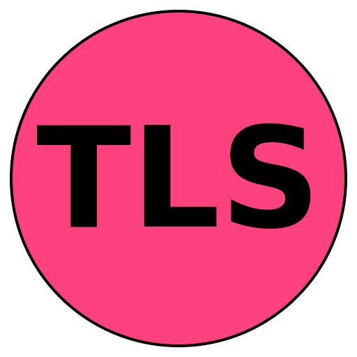 Travel Lane Strategies